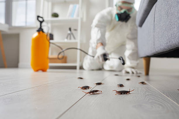 Commercial Rodent Management in Palmerton